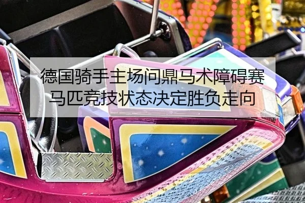 de-guo-qi-shou-zhu-chang-wen-ding-ma-shu-zhang-ai-sai-ma-pi-jing-ji-zhuang-tai-jue-ding-sheng-fu-zou-xiang-2-255.jpg