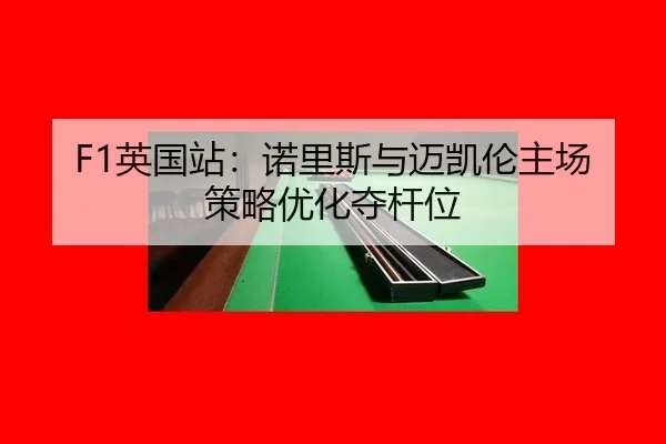ying-guo-zhan-nuo-li-si-yu-mai-kai-lun-zhu-chang-ce-lve-you-hua-duo-gan-wei-3-385.jpg