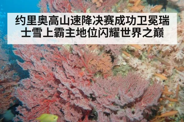 约里奥高山速降决赛成功卫冕瑞士雪上霸主地位闪耀世界之巅