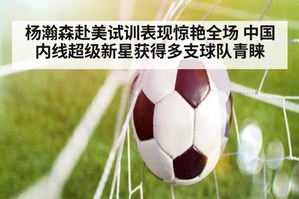 杨瀚森赴美试训表现惊艳全场 中国内线超级新星获得多支球队青睐